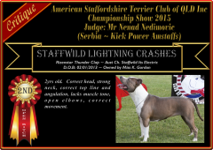 Class 11a ~ 2nd ~ Staffwild Lightning Crashes.png